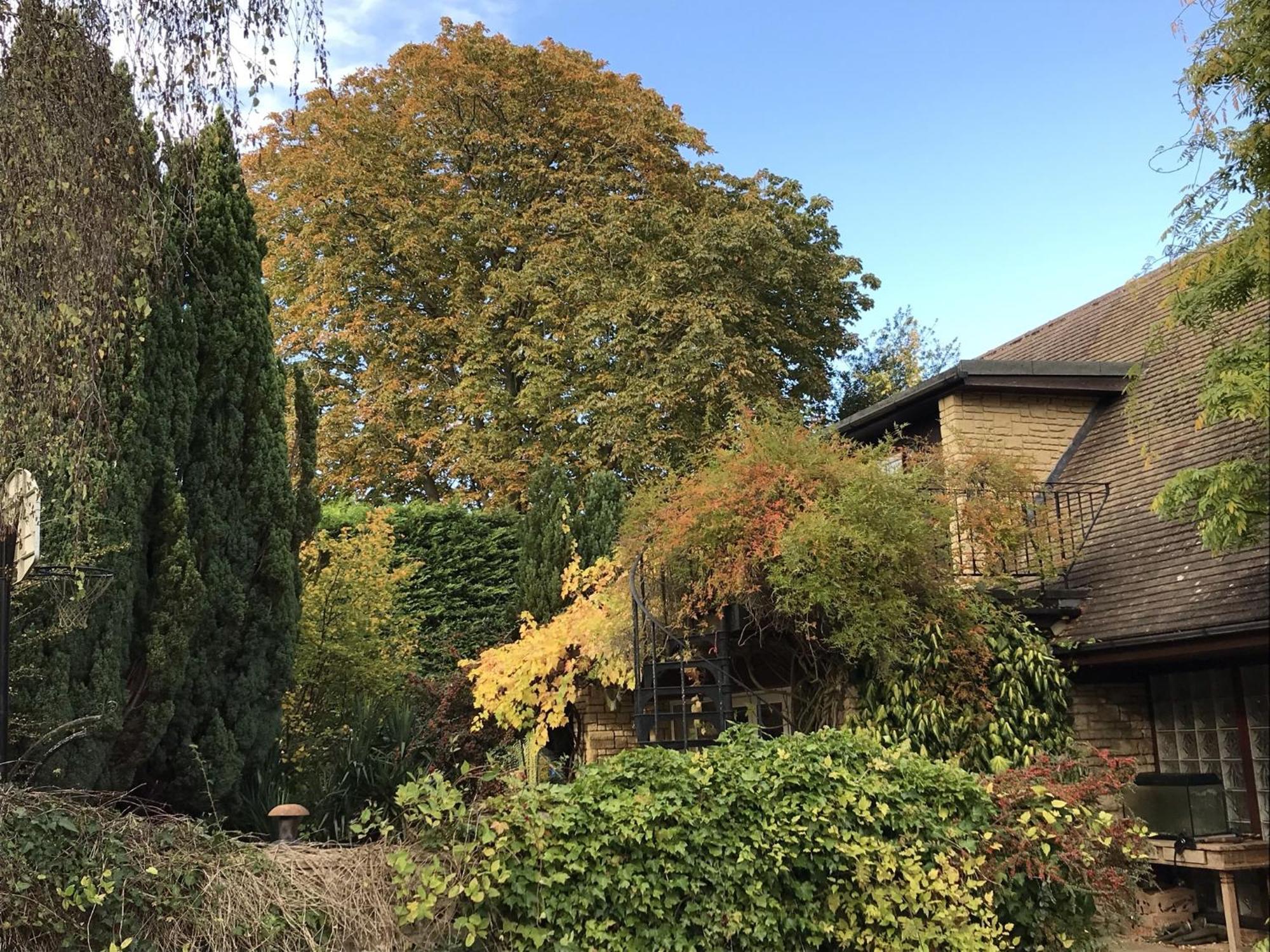 Sandford Meadow Guest House Kennington  ห้อง รูปภาพ